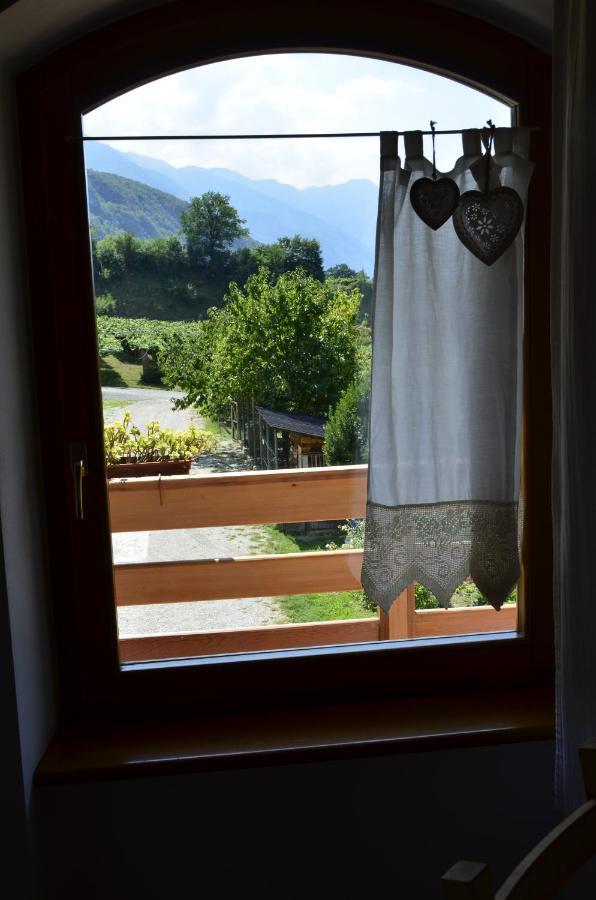 Ca Ulivi Bed & Breakfast อาลา ภายนอก รูปภาพ